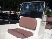 Used 2012 Power Boat for sale 2012 Triumph 170CC for sale in INVERNESS, FL